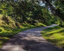 Image of Winding Paths in Olmsted parks