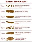 Bristol stool chart reference Sydney