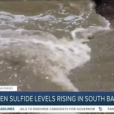 'We can't go back': Sewage crisis reaching breaking point for some South Bay residents