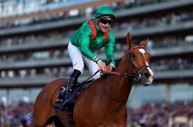 JRA-VAN World - News update