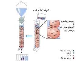 Image of کروماتوگرافی تبادل یونی