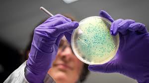Salmonella outbreak in UK leaves one dead and hundreds ill