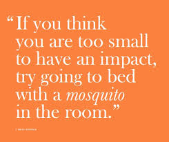 Awesome quote from CISV Sweden&#39;s mosquito tactics book. (More info ... via Relatably.com