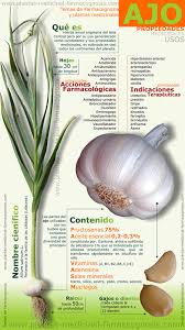 Image result for propiedades medicinales del ajo