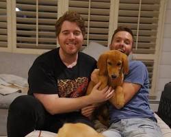 Image of Shane Dawson with his dogs Uno and Honey