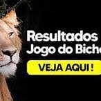 jogo do bicho resultado de hoje federal