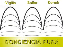 Resultado de imagen de los estados de conciencia