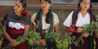 Resultado de imagen para lenguas indigenas mexicana