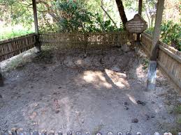 Image result for cambodia history killing fields