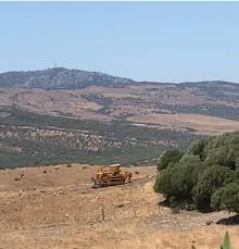 Ciudad de Tarifa al minuto - News update