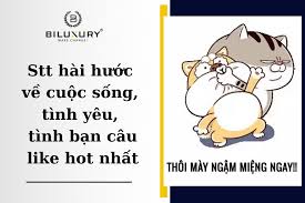 Stt Hài Hước Vui Vẻ Nhất Về Cuộc Sống, Tình Yêu, Tình Bạn