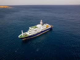 Deadly virus breaks out on cruise ship as three die and Brit fights for life