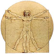 Image result for vitruvian man
