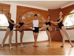 Image result for incolballet