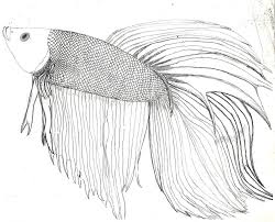 fish coloring pages ile ilgili görsel sonucu