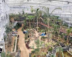 広島 広島市植物公園の画像
