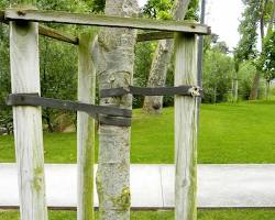 Liens pour tuteurer un arbre