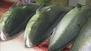 News source: Yahoo!ニュース