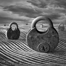 Resultat d'imatges de fotògraf Dariusz Klimczak