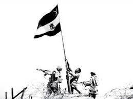 المصري اليوم - News update