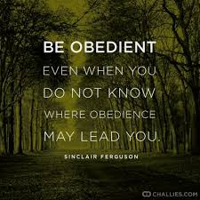 Image result for obedience