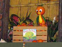 Image result for the orange bird