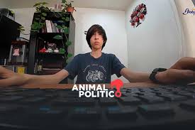 Animal Politico - News update