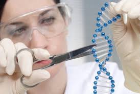 Image result for rekayasa genetika