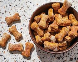 dog food and treatsの画像