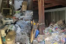 Shocking neglect: Over 100 cats found dead in animal welfare staffer’s house in Japan