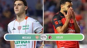 Necaxa vs Xolos: EN VIVO, horario y dónde ver el partido de la J12 del Clausura 2026