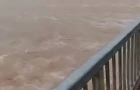 فیلم/ رود دجله بعد از بارش باران
