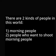 Funny quote morning person | Hilarious stuff | Pinterest | Morning ... via Relatably.com
