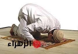 بوابة الزهراء - News update