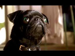 Resultado de imagen de Molly Moon trailer