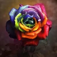 نتیجه تصویری برای تست هوش تصویری شکل در شکل