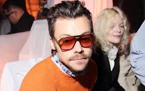 Harry Styles begins £30m mega-mansion project in North London