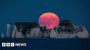 BBC - News update