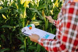 MDS autoriza repasse de R$ 75,3 mil à Coopbrasil para agricultura familiar