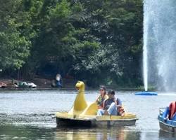 Image of Karanji Lake Mysore