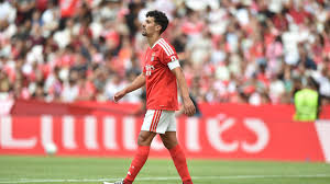 Já cheira a mundialistas! O onze provável do Benfica para o duelo com o Hearts