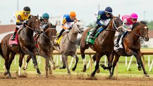 America's Best Racing - News update