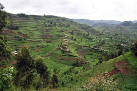 Image result for INDENTURED INDIANS IN UGANDA
