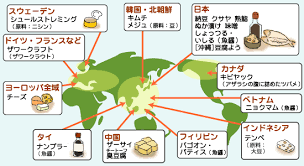 「発酵食品」の画像検索結果