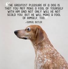 Great Pet Quotes. QuotesGram via Relatably.com