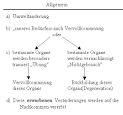 Geschichte der Evolutionstheorie 