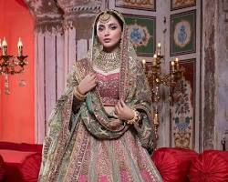 Image of Pakistani bridal lehenga gown modern
