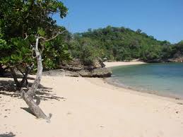 Image result for PANTAI PELABUHAN RATU