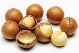 Kết quả hình ảnh cho hạt macca