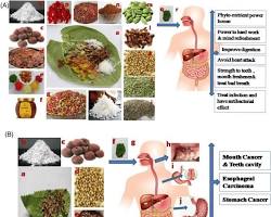 Hình ảnh về various food products where I+G is used